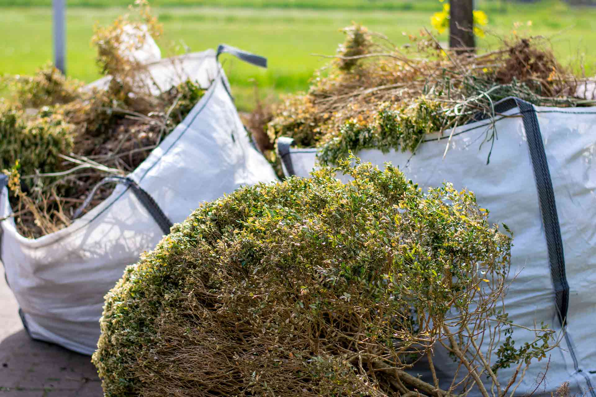 County Clear Waste garden clearance job